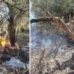 Guarnições dos Bombeiros mantém combate a incêndios na região do Pantanal