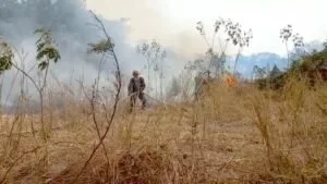 Leia mais sobre o artigo Bombeiros combatem incêndios na área urbana de Corumbá