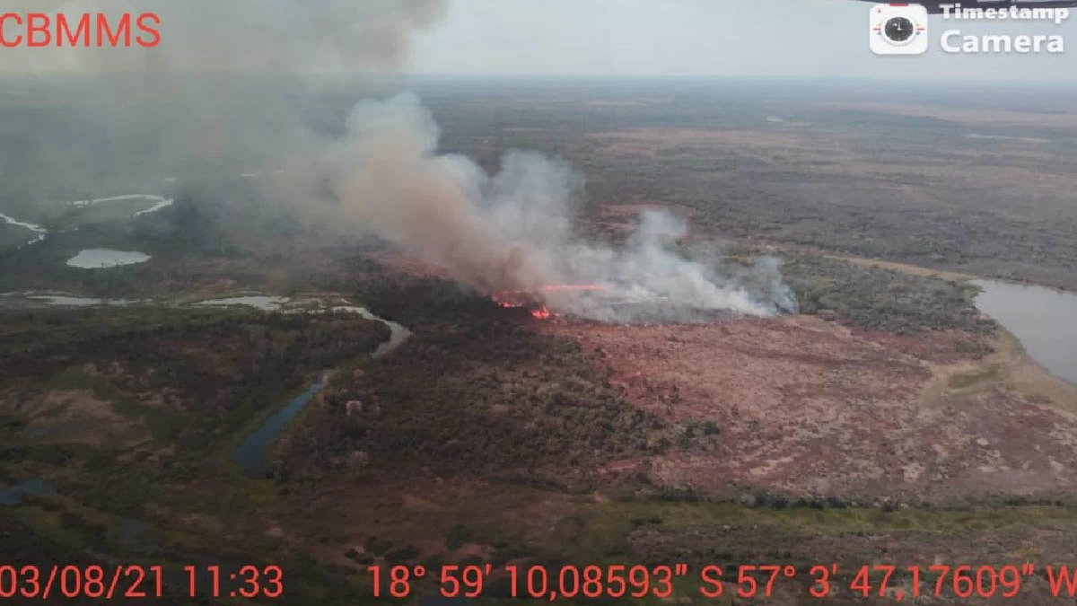 Você está visualizando atualmente Com sobrevoo Bombeiros monitoram focos de queimadas no Pantanal