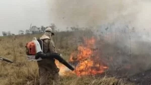 Leia mais sobre o artigo Chegada da chuva no Pantanal elimina os focos de calor; bombeiros monitoram região