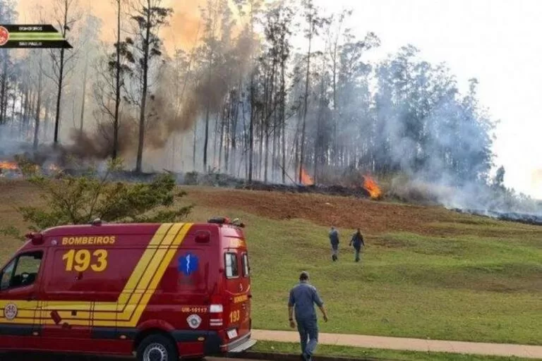 Sete pessoas morrem em queda de aeronave no interior de São Paulo