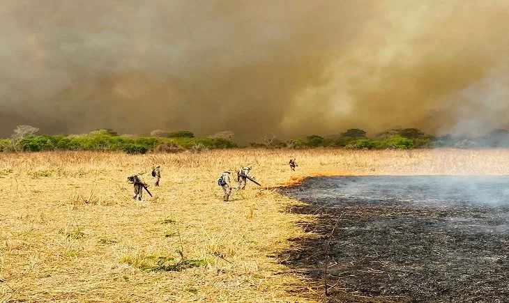 Você está visualizando atualmente Combate aos incêndios no Pantanal mobiliza 510 homens e seis aeronaves: incidência de focos é menor em três anos críticos