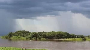Leia mais sobre o artigo Chuva deve aliviar calor em Mato Grosso do Sul a partir de terça-feira