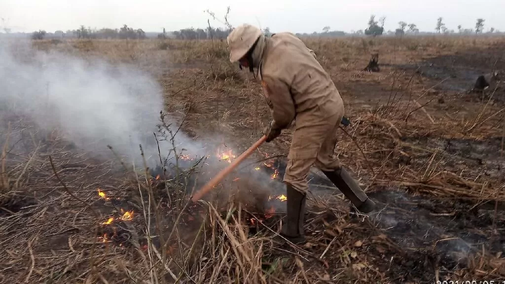 combate incendios pantanal