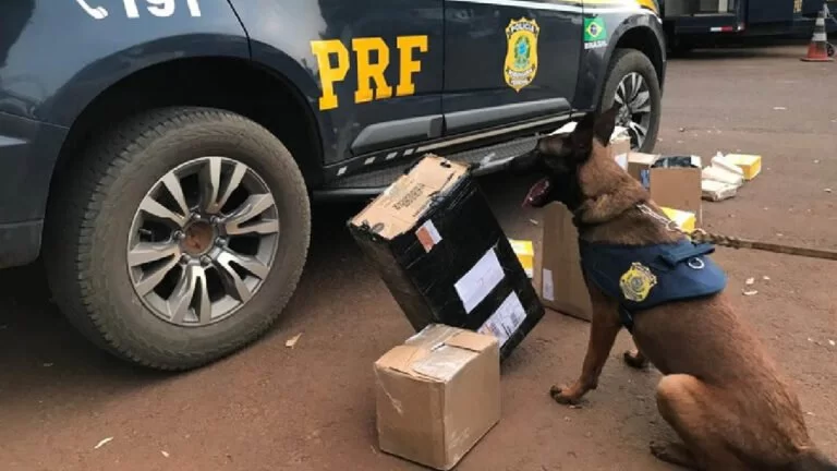 PRF e Correios realizam operação conjunta para interceptar encomendas com drogas em Campo Grande