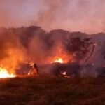 Vídeo| Bombeiros combatem incêndio em mata próximo de hospital e mercado atacadista