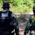 Governo autoriza concurso do Ibama com 568 vagas