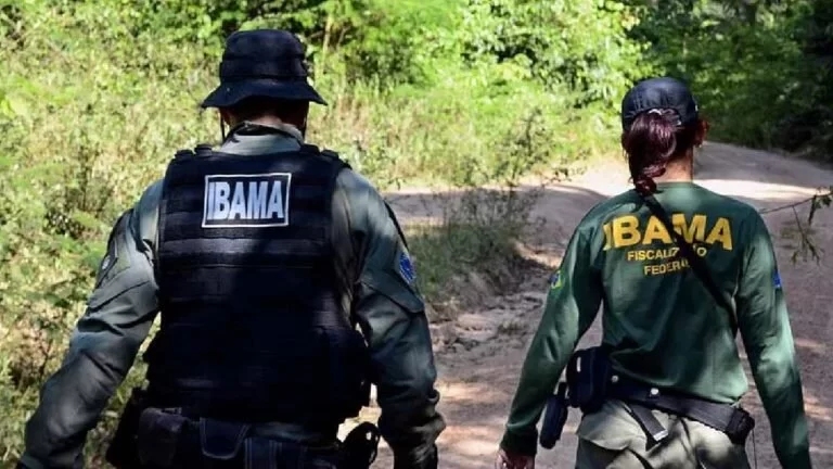 Governo autoriza concurso do Ibama com 568 vagas