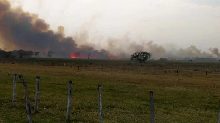 Operação Hefesto completa 65 dias de combate aos incêndios no Pantanal