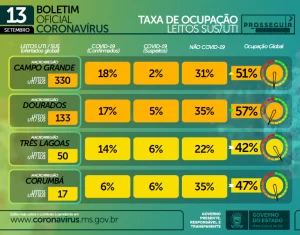 ocupacao leitos 300x235 1