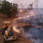 Operação Hefesto recebe reforço de equipes após aumento de focos de incêndios no Pantanal