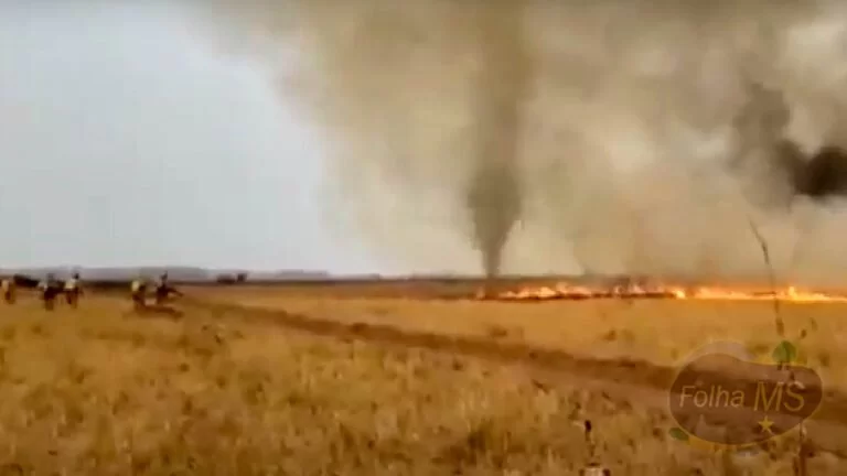 Vídeo | “Redemoinho de fogo” cerca bombeiros que combatem queimadas no Pantanal