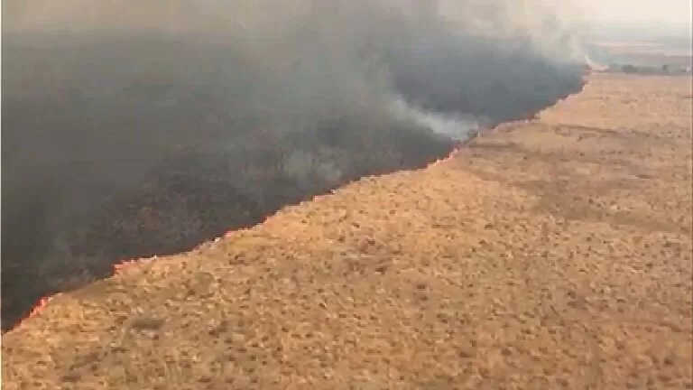Queimadas se agravam e bombeiros reforça combate ao fogo em Porto Esperança