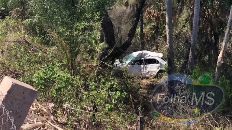 Motorista morre após sair da pista e colidir em árvore na BR-262