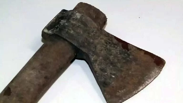 Homem é morto a golpes de machado em fazenda no Pantanal