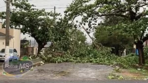 Leia mais sobre o artigo Mato Grosso do Sul está em alerta para temporais com ventos de até 100 km/h