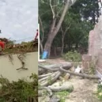 Bombeiros registraram 42 quedas de árvores durante tempestade em Corumbá