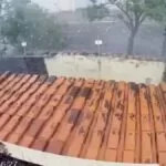 Rajada de vento derruba árvore durante temporal em Corumbá |Vídeo