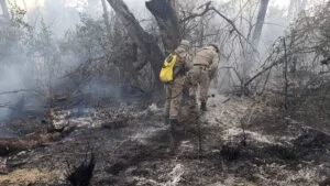 Leia mais sobre o artigo Chuva traz alívio para queimadas, mas guarnições permanecem de prontidão no Pantanal