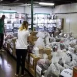 Leilão online da Sefaz tem mais de 500 lotes de produtos e está com lances abertos