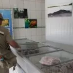 Operação Piracema: fiscalização de peixarias e restaurantes começa nesta segunda-feira