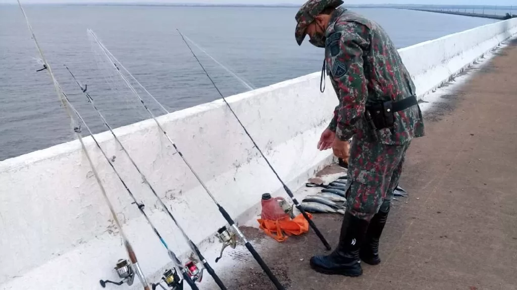 PMA PEsca