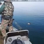 134 pessoas foram autuadas por pesca ilegal em MS neste primeiro semestre