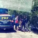 Motorista perde o controle de veículo e colide em árvores na BR-262