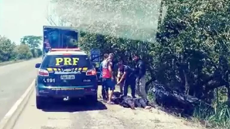 Motorista perde o controle de veículo e colide em árvores na BR-262