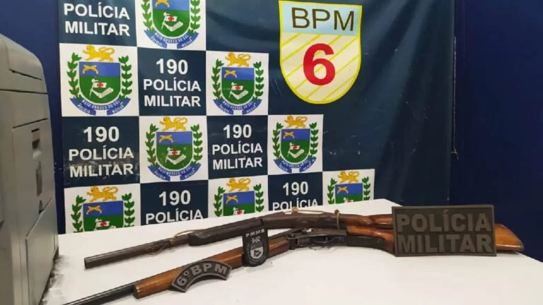 Ao atender caso de violência doméstica, PM apreende duas armas de fogo em Ladário