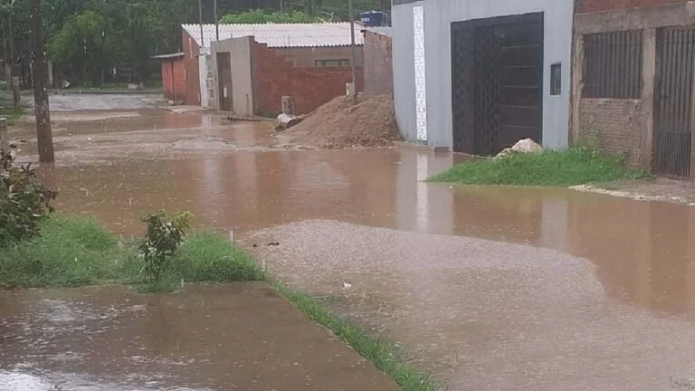 Bombeiros: Além de alagamentos chuva provoca queda de árvores em Corumbá