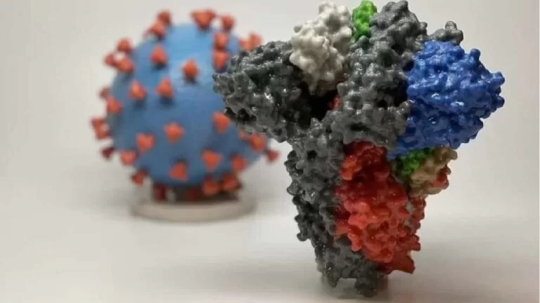 Ministério da Saúde emite alerta de risco sobre variante Ômicron