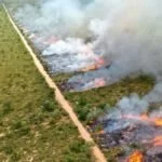 Detalhes do decreto de emergência em MS destacam mudanças na política de queima controlada