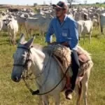 Jovem morre após cair de cavalo e bater cabeça em cidade de MS