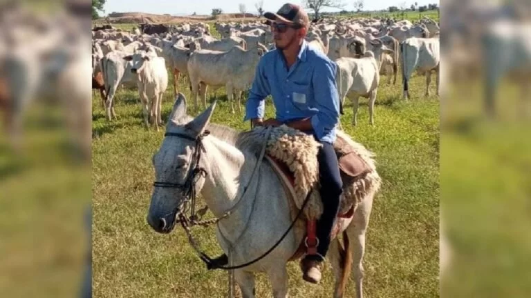 Jovem morre após cair de cavalo e bater cabeça em cidade de MS