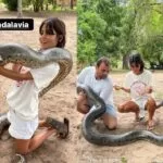 Atriz Julia Dalavia é clicada segurando sucuri gigante no Pantanal