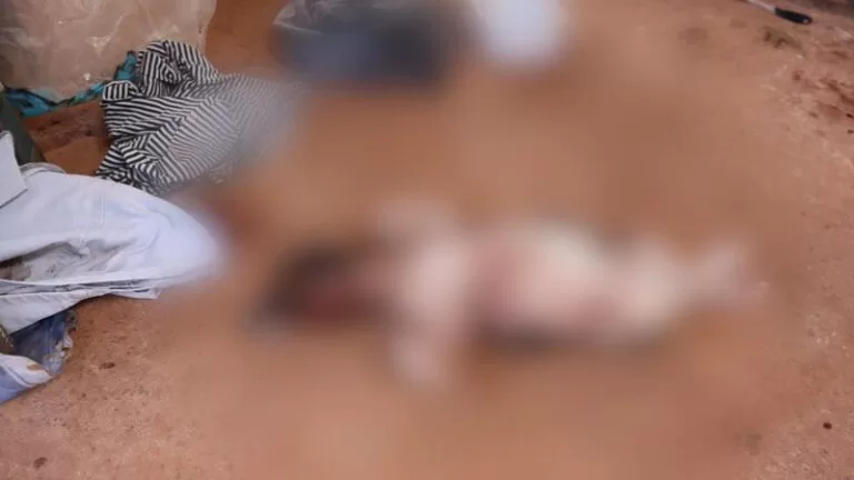 Idoso é denunciado por matar filhote de cachorro a pauladas em MS