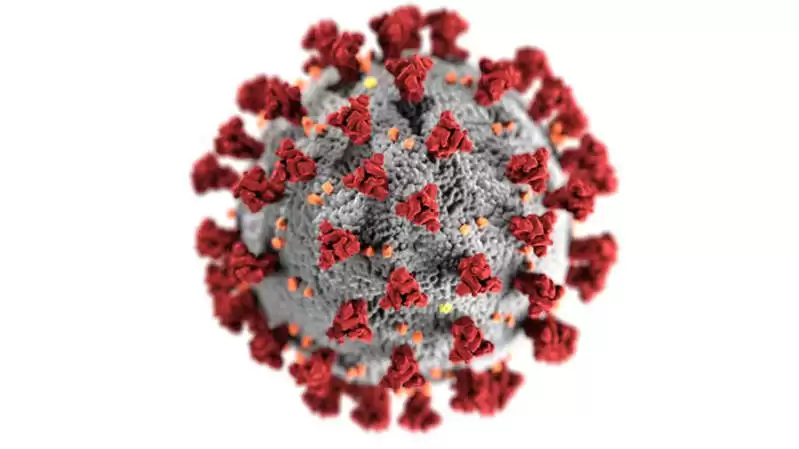 Você está visualizando atualmente Deltacron: nova cepa do coronavírus é identificada no Chipre