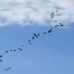 Segunda-feira será de sol entre nuvens em Mato Grosso do Sul