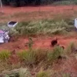 Família morre em colisão entre carro e caminhonete na BR-262