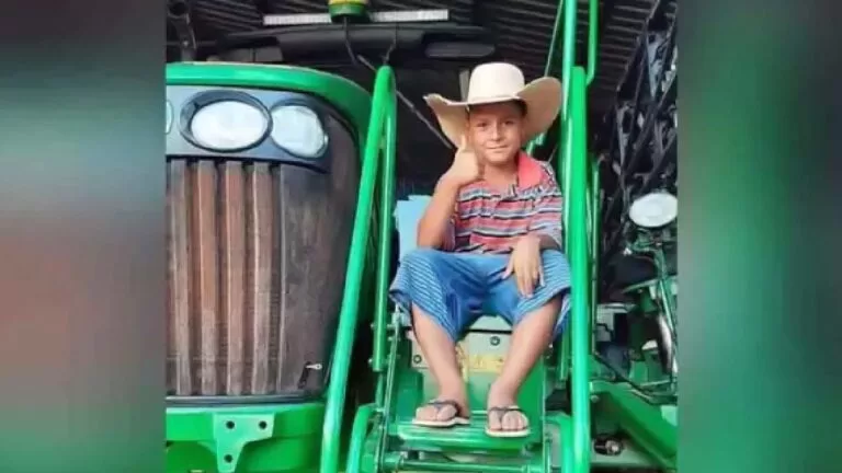 Em meio a denúncias, polícia investiga morte de criança que caiu de pé de manga