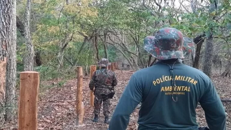 PMA emitiu mais de R$ 38 milhões de multas ambientais em 2021