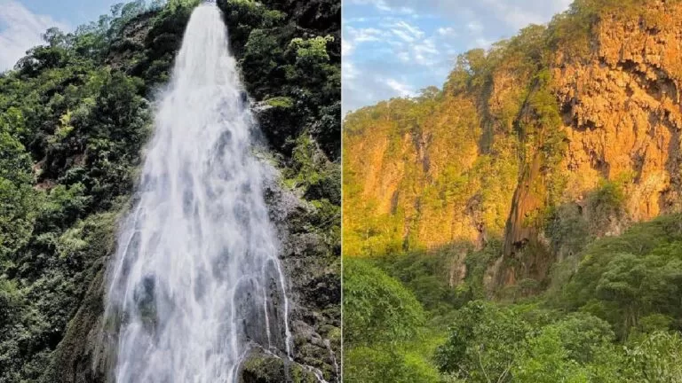 Decreto de situação de emergência devido a estiagem é valido por 180 dias