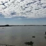 Pantanal ainda sofre com efeitos provocados pela seca severa dos últimos anos