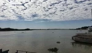 Leia mais sobre o artigo Pantanal ainda sofre com efeitos provocados pela seca severa dos últimos anos