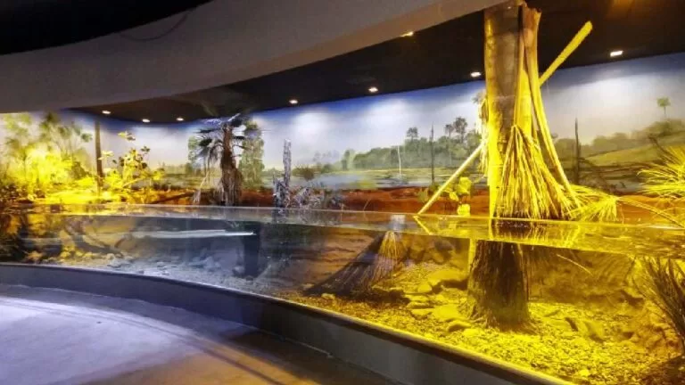 Após 11 anos governo promete inauguração do Aquário do Pantanal dia 28