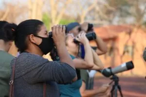 Leia mais sobre o artigo Avistar Brasil: Mato Grosso do Sul participa do principal Festival de Observação de Aves da América Latina