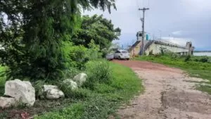 Leia mais sobre o artigo Evander solicita à Sanesul limpeza da área próximo da Captação em Corumbá