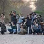 Evento “Vem Passarinhar MS” promove o birdwatching em Corumbá