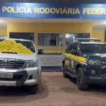 PRF apreende 50 quilos de cocaína com dupla que saiu em caminhonete de Corumbá